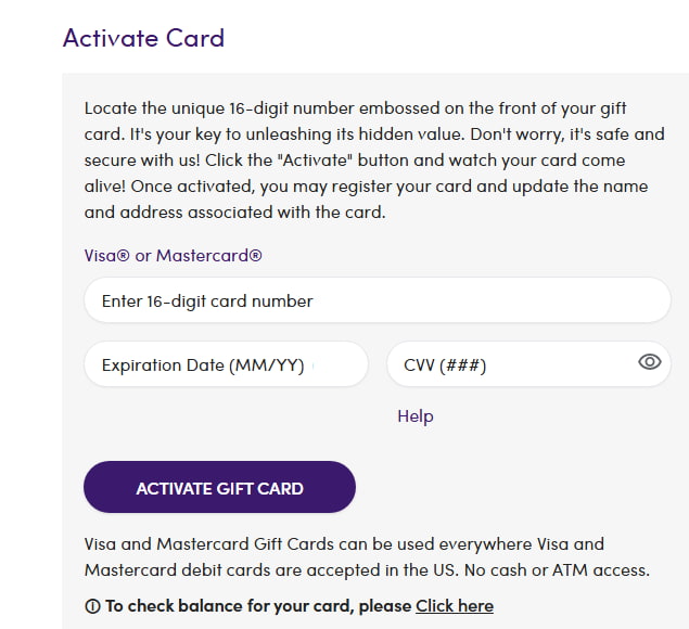 Payment section of an online store showing Visa as a payment option